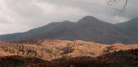 MOUNTAIN VIEWS