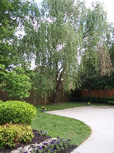 500554driveway.jpg (122290 bytes)