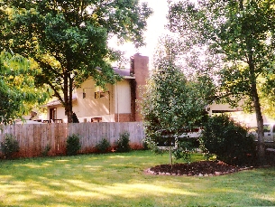 SIDE VIEW