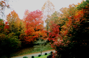 537945view.JPG (87269 bytes)